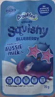 Yogurt squishy blueberry