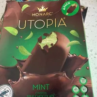 Mint Ice Cream coated in Mint Chocolate