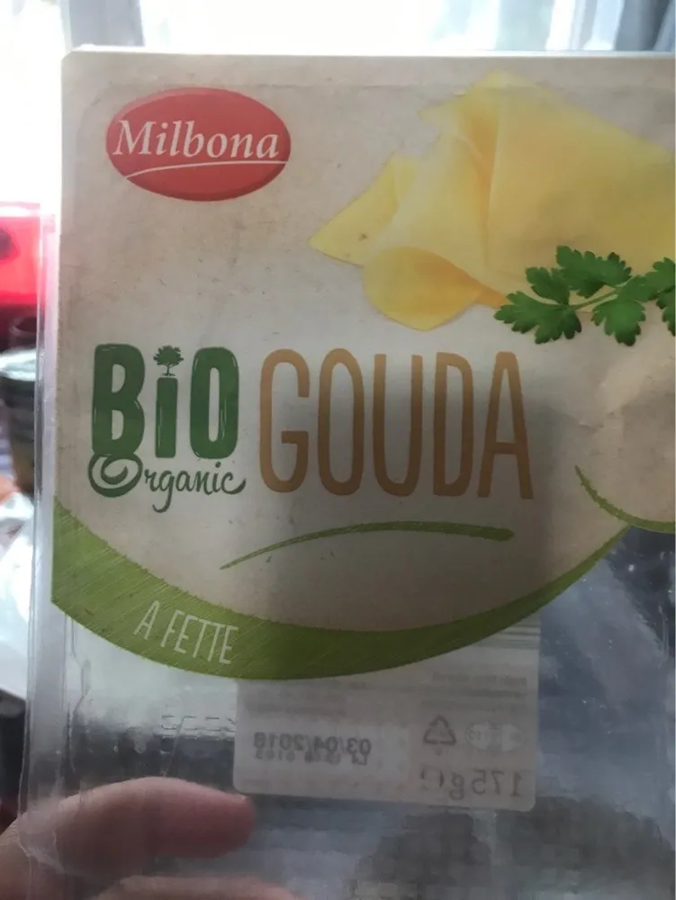 Bio gouda