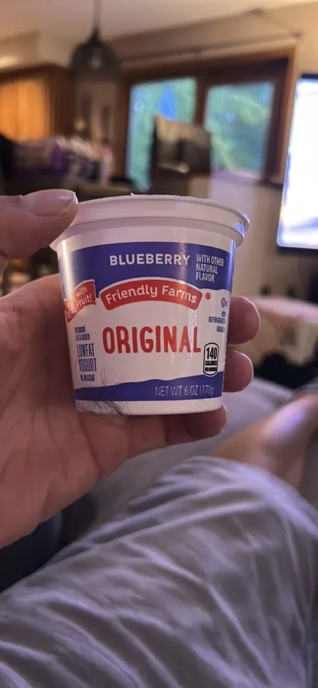 Original Blueberry Lowfat Yogurt