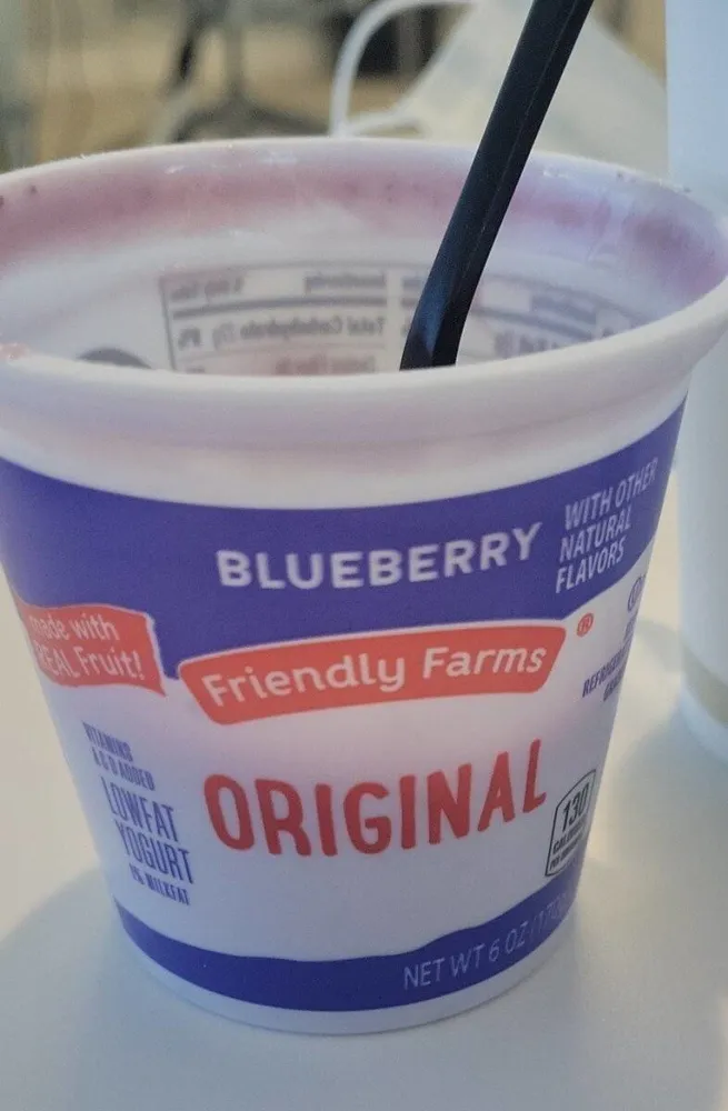 Blueberry Yogurt