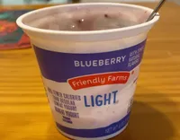 Light Blueberry Yogurt