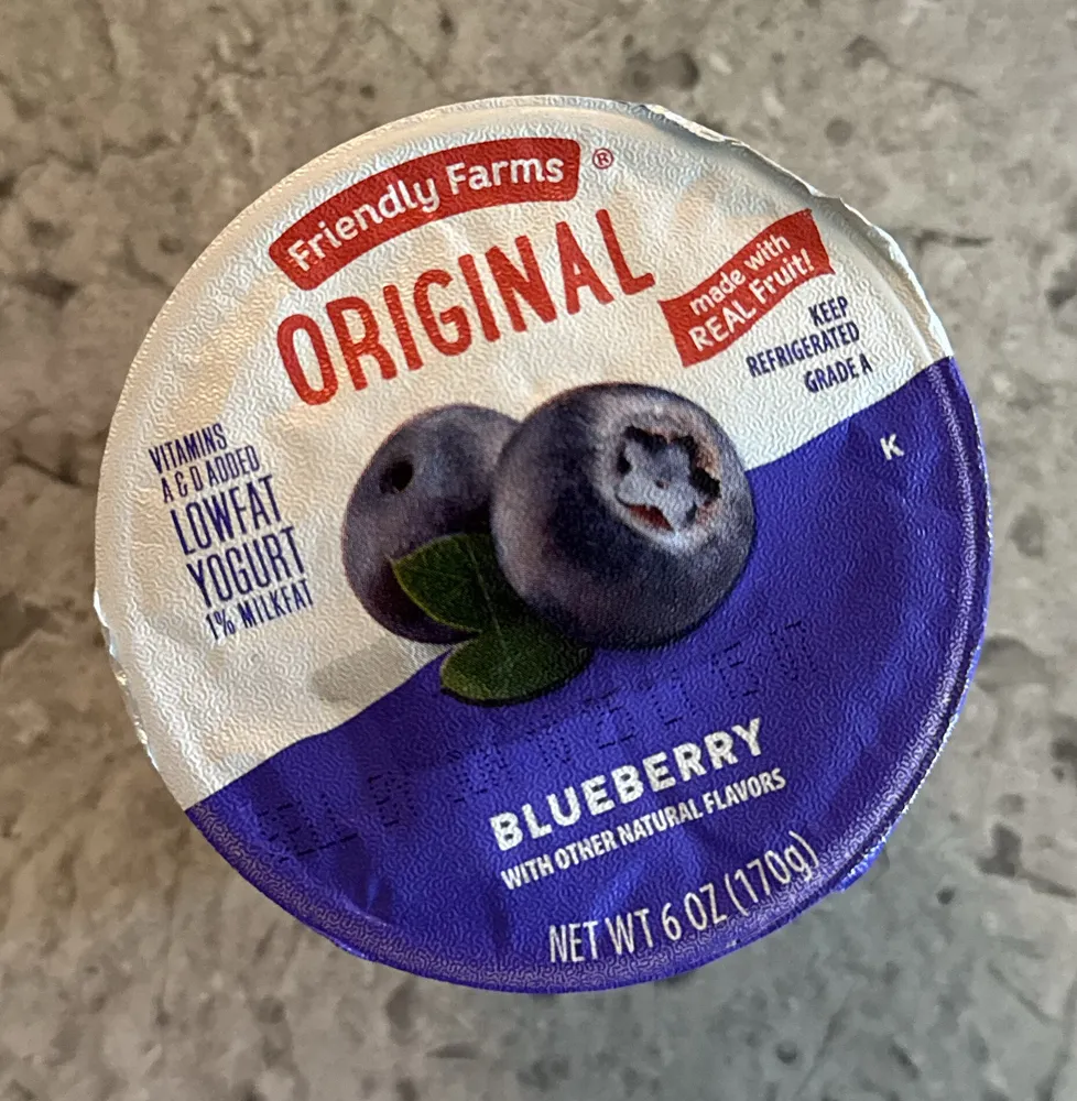 Blueberry Original Lowfat Yogurt