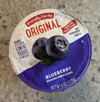Blueberry Original Lowfat Yogurt