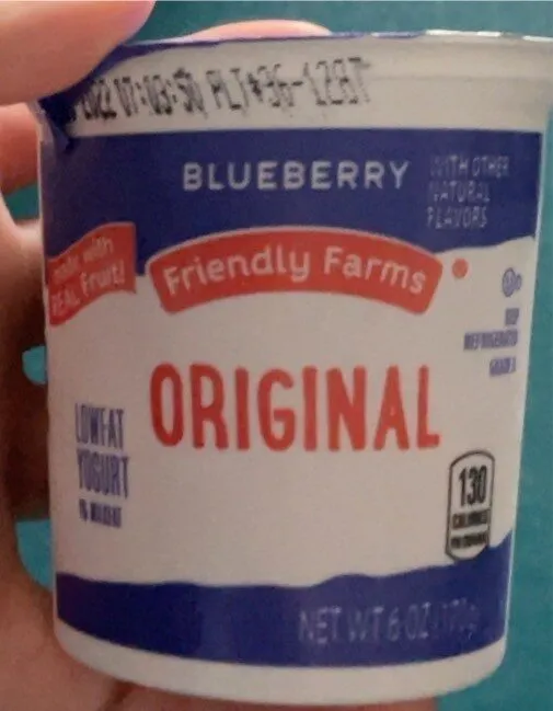 Blueberry Lowfat Yogurt