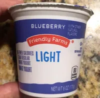 Blueberry yogurt