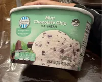Mint Chocolate Chip Ice Cream