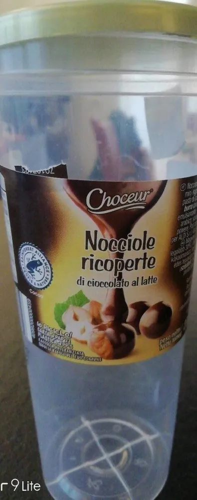 Nocciole ricoperte di cioccolato al latte