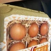 Eier