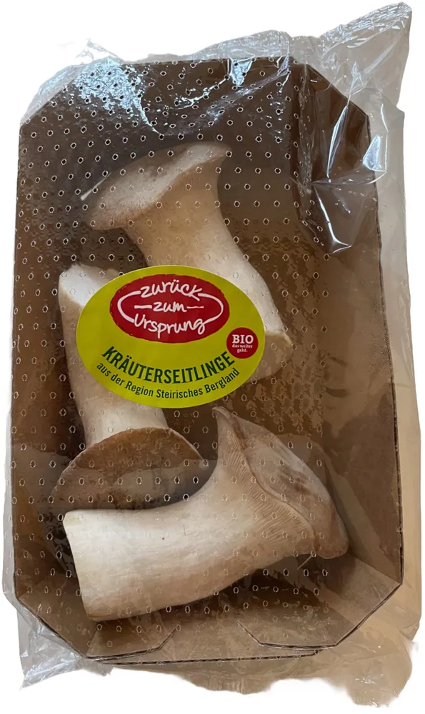 Kräuterseitlinge