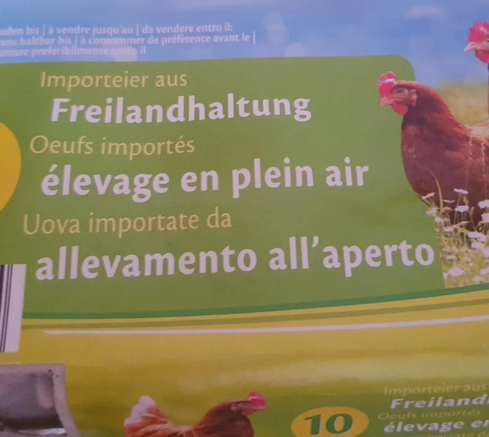 Œufs  élevé en plein air