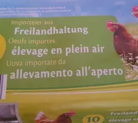 Œufs  élevé en plein air