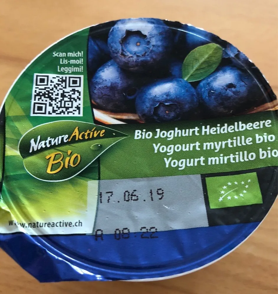 Yogourt bio myrtille