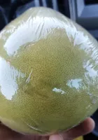 Pomelo