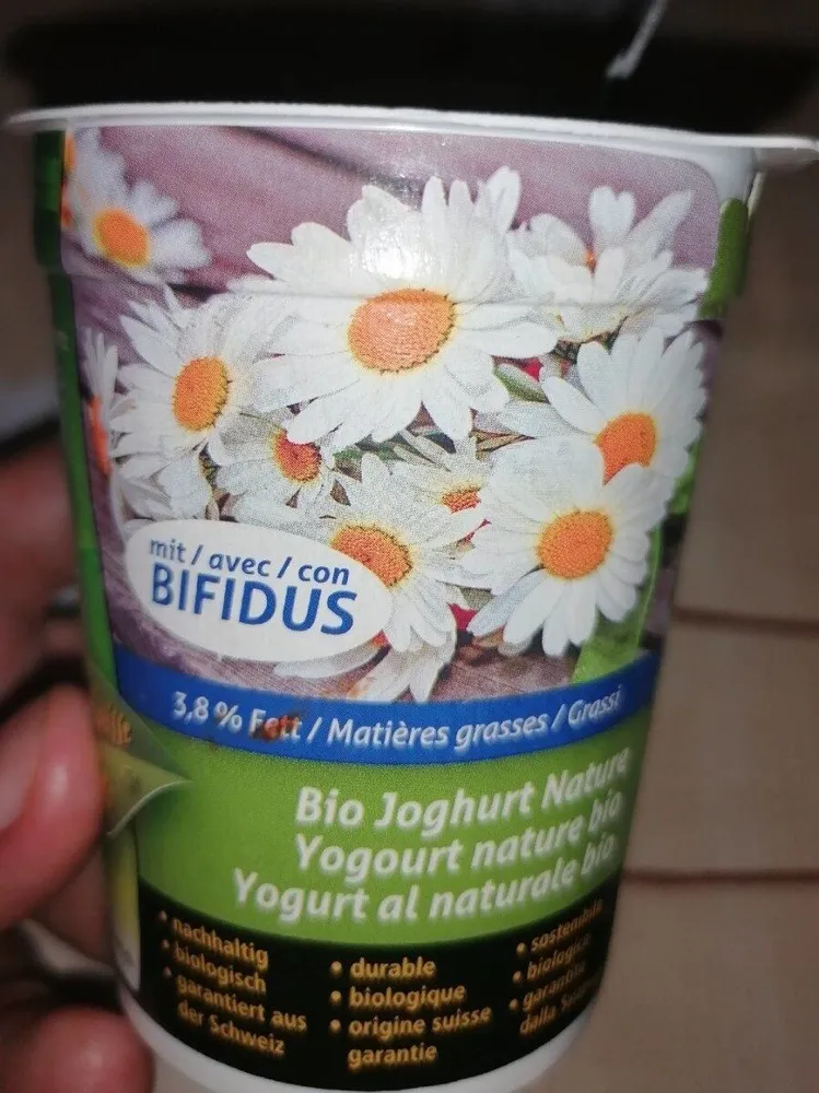 Yogourt