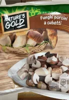 Funghi porcini