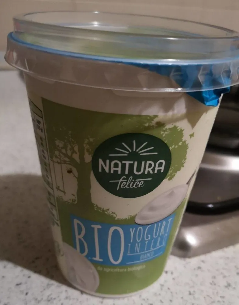 Bio Yogurt Intero bianco