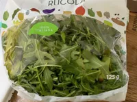 Rucola