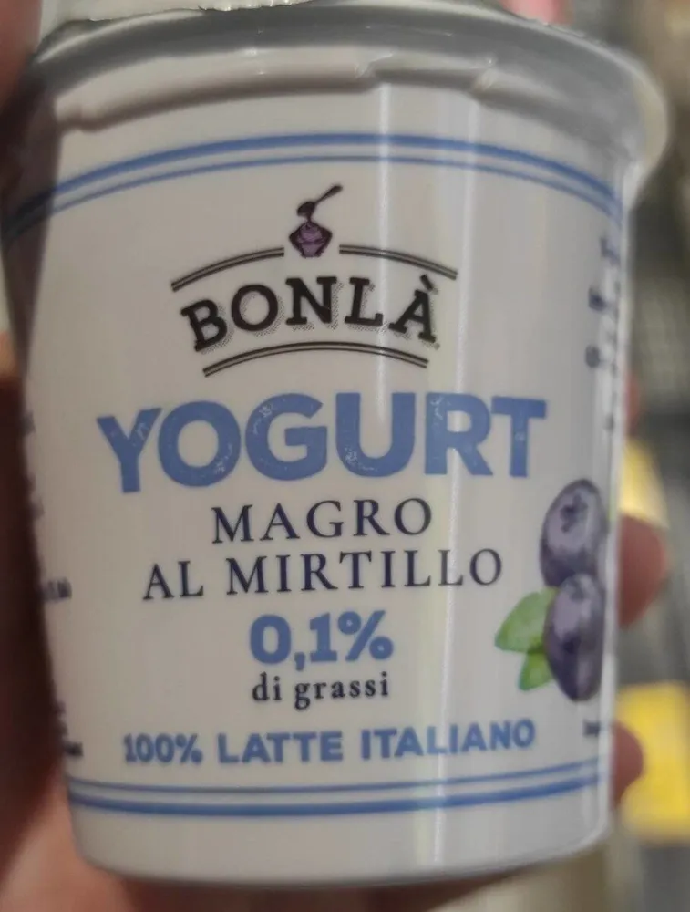 Yogurt magro al mirtillo