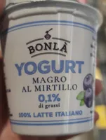 Yogurt magro al mirtillo