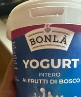Yougurt intero ai frutti di bosco