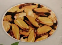 Cozze cilene