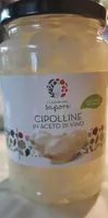Cipolline