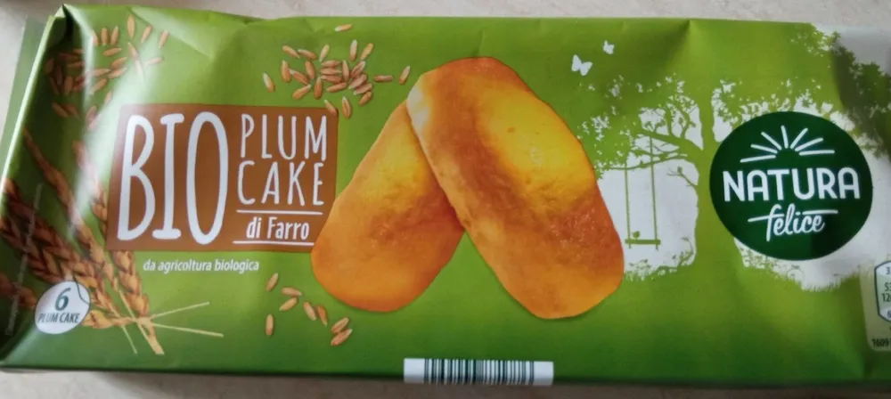 Bio Plum Cake