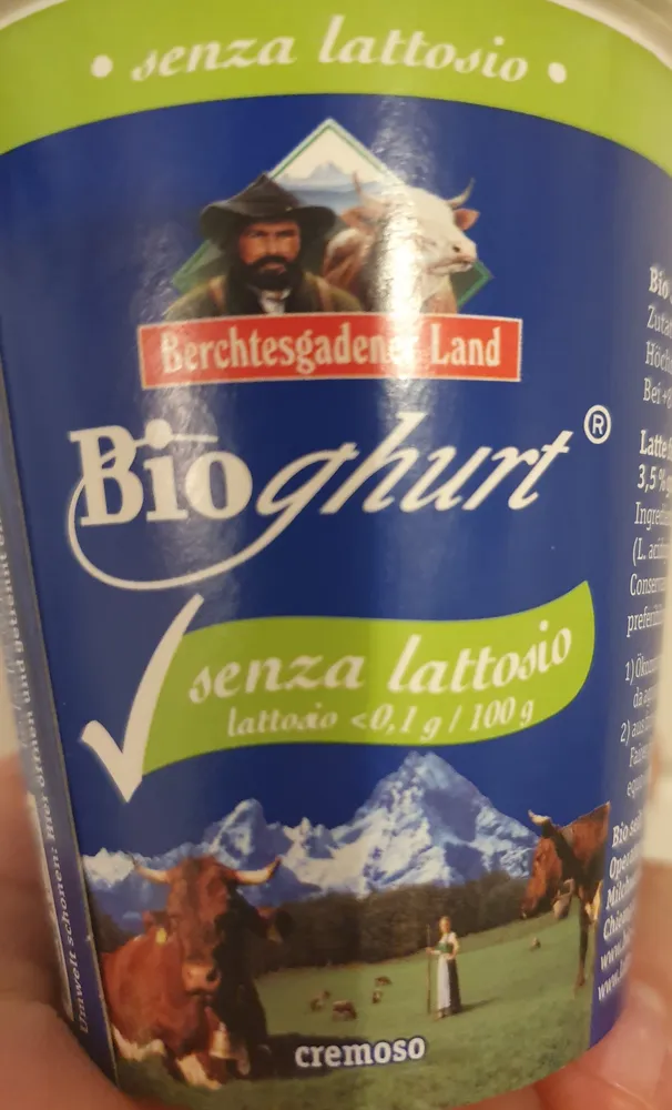 Bioghurt sans lactose