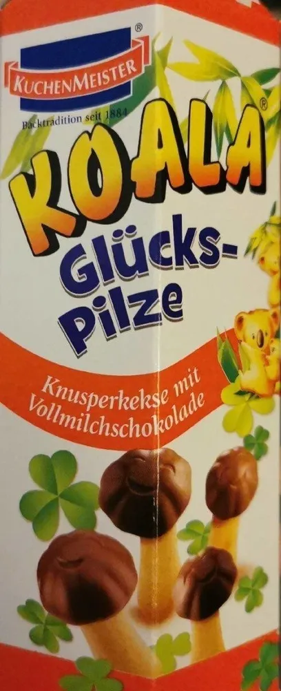 Koala Glückspilze