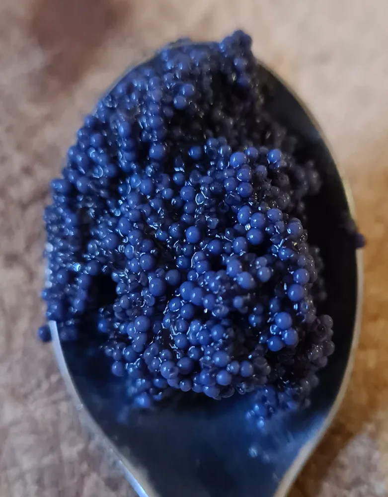 Deutscher Caviar aus Heringsrogen