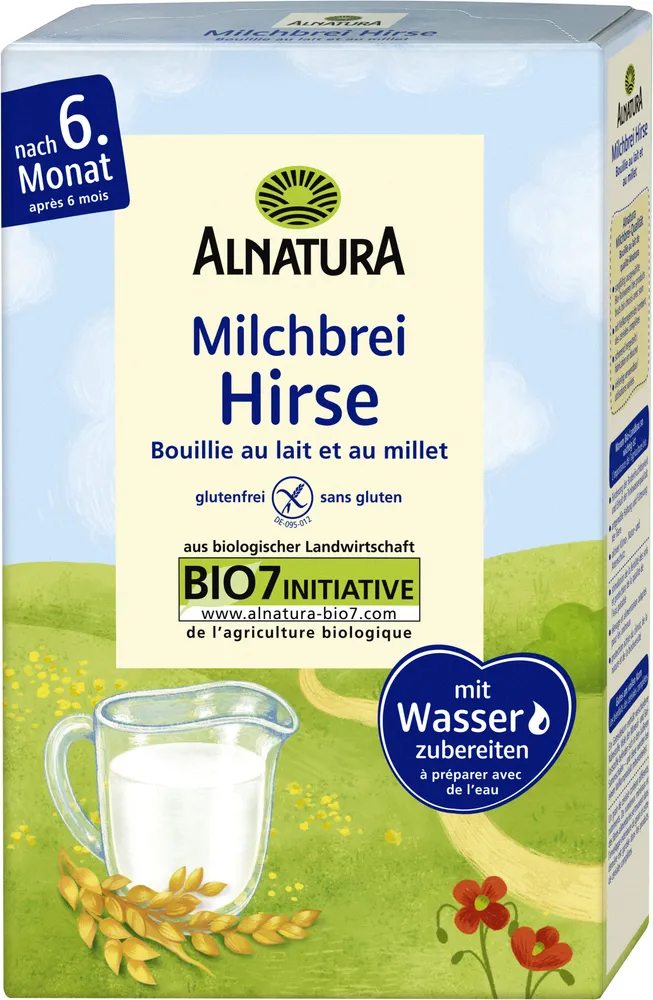 Hirse-Milchbrei
