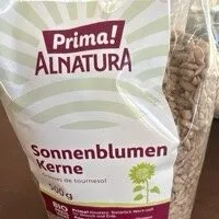 Sonnenblumenkern