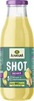 Ingwer Shot