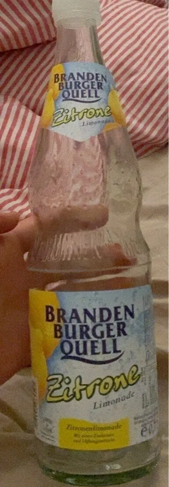 Zitronen Limonade