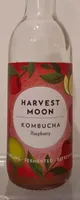 Kombucha raspberry