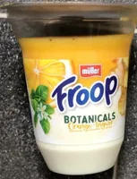 Froop Botanicals Orange-Ingwer