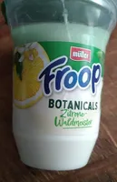 Froop