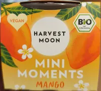 Mini Moments Mango