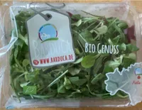 MIX FELDSALAT
