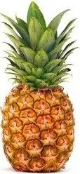 Bio ananas Aus Cote D'ivoire,Extra Süß