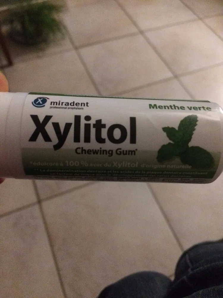 Xylitol Chewing Gum Menthe Verte