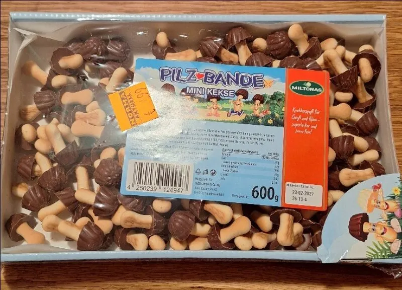 Pilz bande