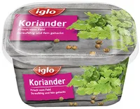 Koriander