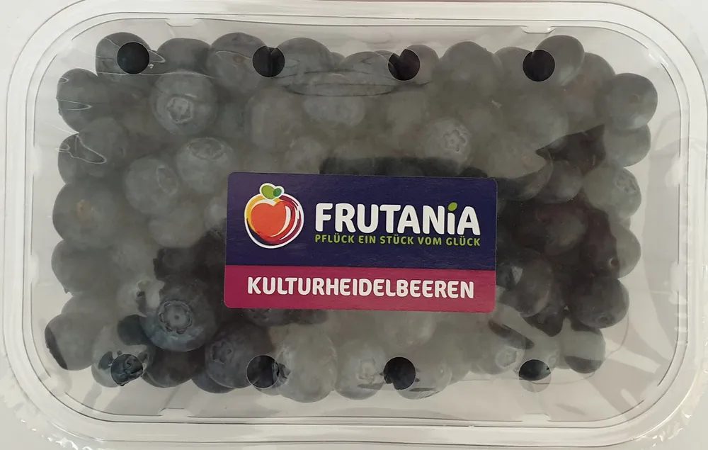 Kulturheidelbeeren Kl. I