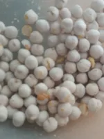 Chickpeas roasted pois chiche