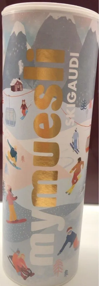 Ski Gaudi