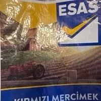 Rote Linsen