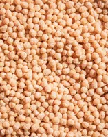 Soja Protein Crispies