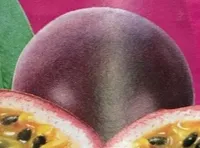 MaracujaNektar